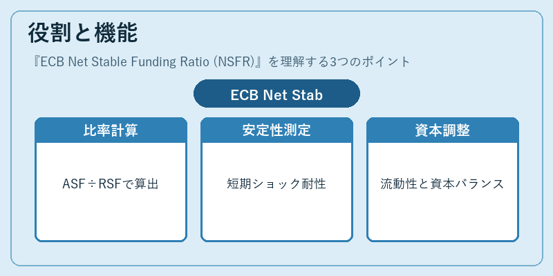 役割と機能（ECB Net Stable Funding Ratio (NSFR)）の図解