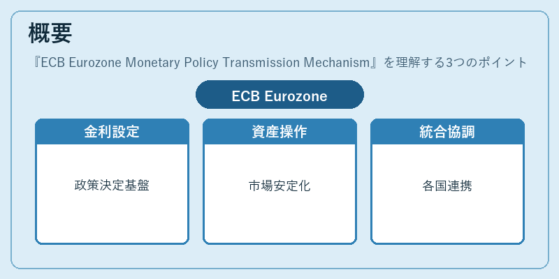 概要(ECB Eurozone Monetary Policy Transmission Mechanism)の図解