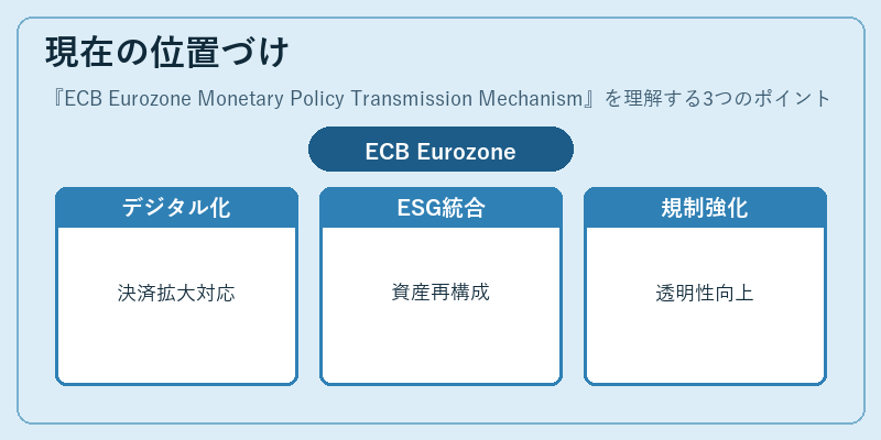 現在の位置づけ(ECB Eurozone Monetary Policy Transmission Mechanism)の図解
