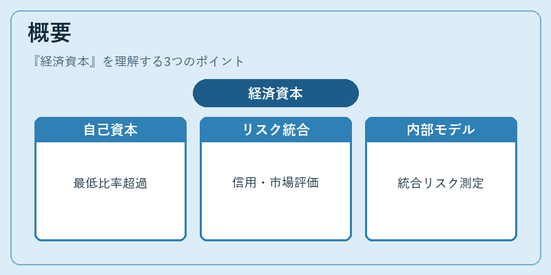 概要（経済資本）の図解
