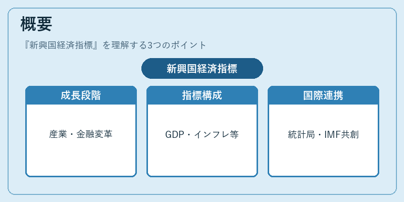 概要（新興国経済指標）の図解