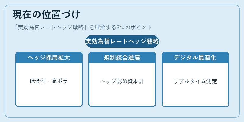 現在の位置づけ(実効為替レートヘッジ戦略)の図解