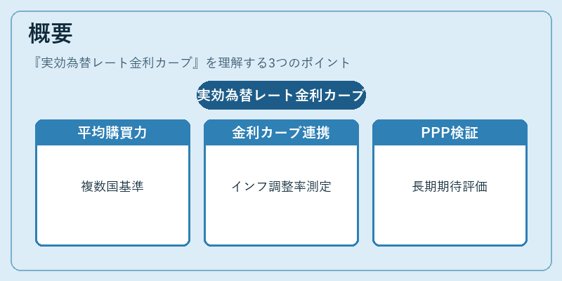 概要（実効為替レート金利カーブ）の図解