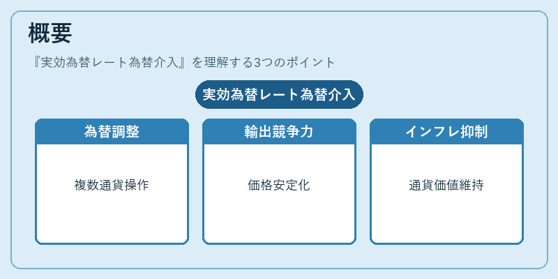 概要(実効為替レート為替介入)の図解