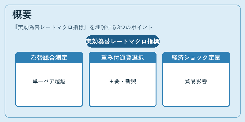 概要（実効為替レートマクロ指標）の図解