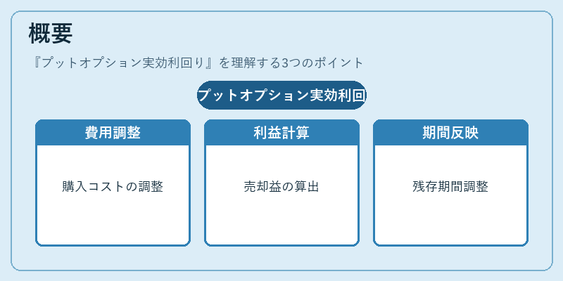 概要(プットオプション実効利回り)の図解