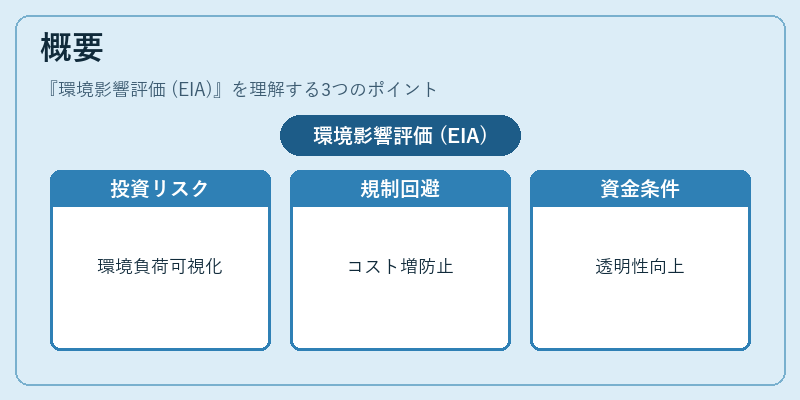 概要(環境影響評価 (EIA))の図解