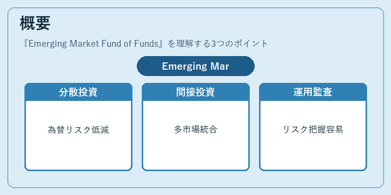 概要（Emerging Market Fund of Funds）の図解
