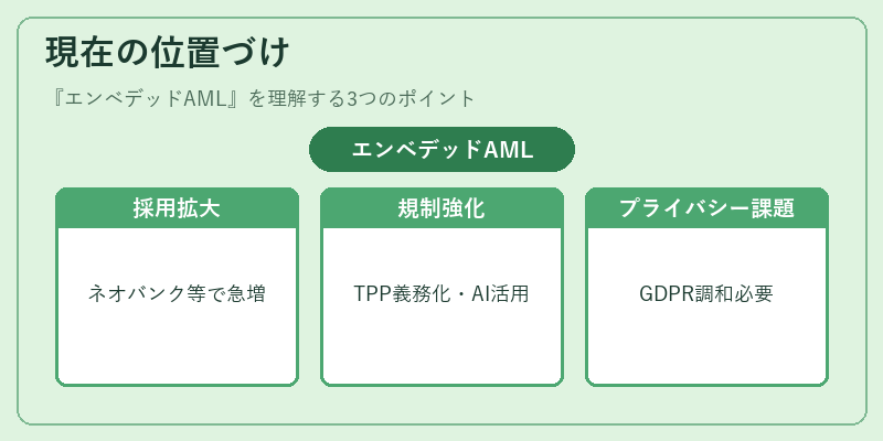 現在の位置づけ（エンベデッドAML）の図解