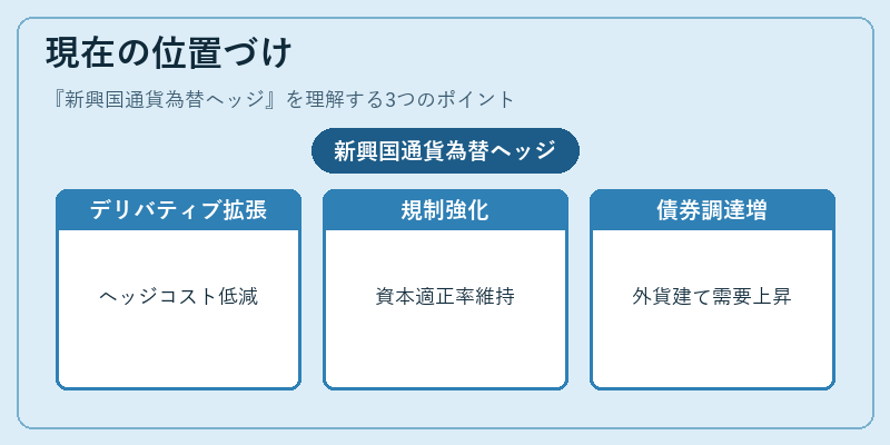 現在の位置づけ（新興国通貨為替ヘッジ）の図解