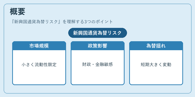 概要（新興国通貨為替リスク）の図解