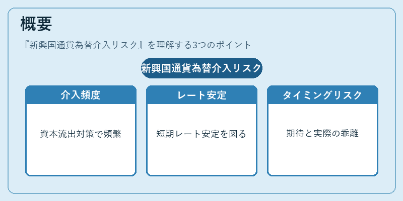 概要（新興国通貨為替介入リスク）の図解