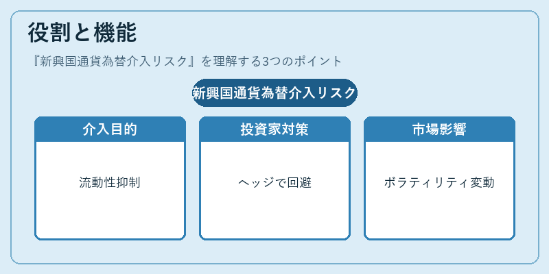 役割と機能（新興国通貨為替介入リスク）の図解