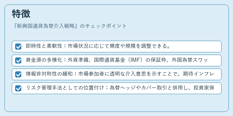 特徴(新興国通貨為替介入戦略)の図解
