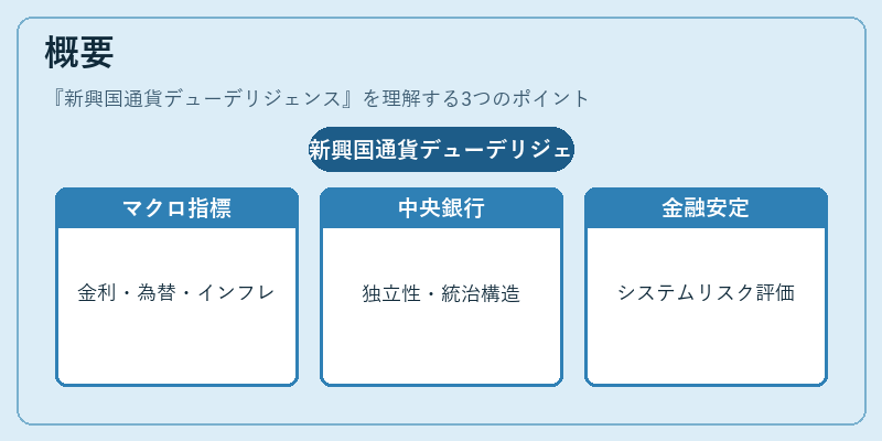 概要（新興国通貨デューデリジェンス）の図解