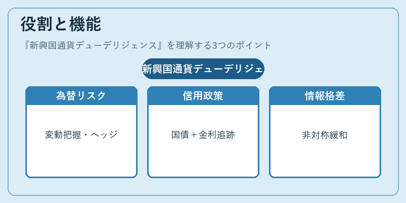 役割と機能（新興国通貨デューデリジェンス）の図解