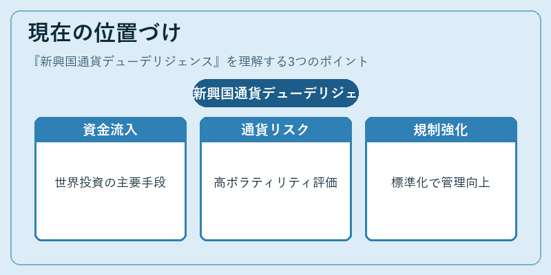 現在の位置づけ（新興国通貨デューデリジェンス）の図解