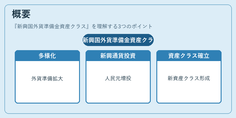 概要（新興国外貨準備金資産クラス）の図解