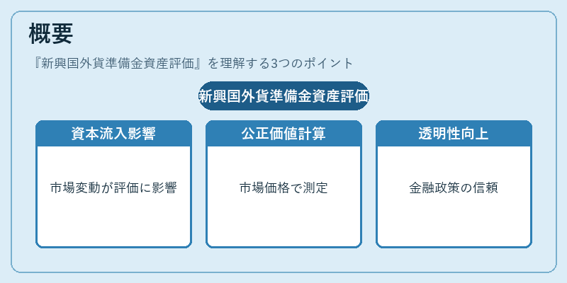 概要（新興国外貨準備金資産評価）の図解