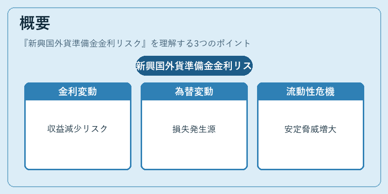 概要（新興国外貨準備金金利リスク）の図解