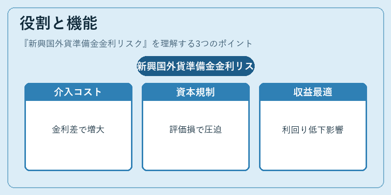 役割と機能（新興国外貨準備金金利リスク）の図解