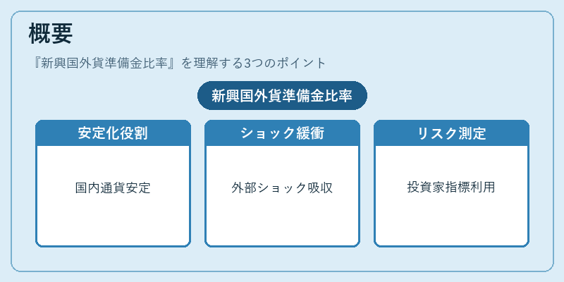 概要（新興国外貨準備金比率）の図解