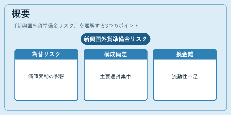 概要（新興国外貨準備金リスク）の図解