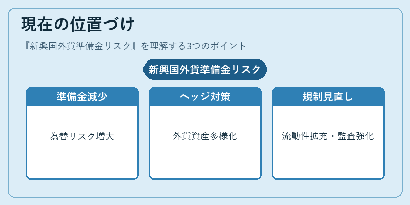 現在の位置づけ（新興国外貨準備金リスク）の図解