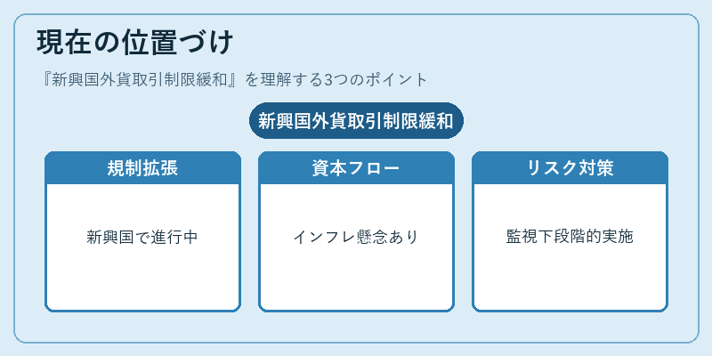 現在の位置づけ（新興国外貨取引制限緩和）の図解