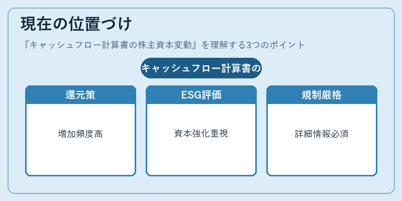 現在の位置づけ(キャッシュフロー計算書の株主資本変動)の図解