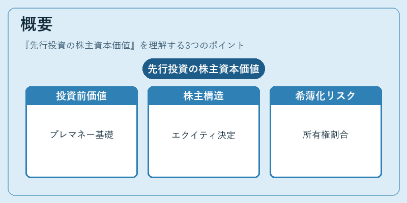 概要（先行投資の株主資本価値）の図解