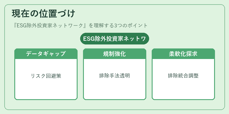 現在の位置づけ（ESG除外投資家ネットワーク）の図解