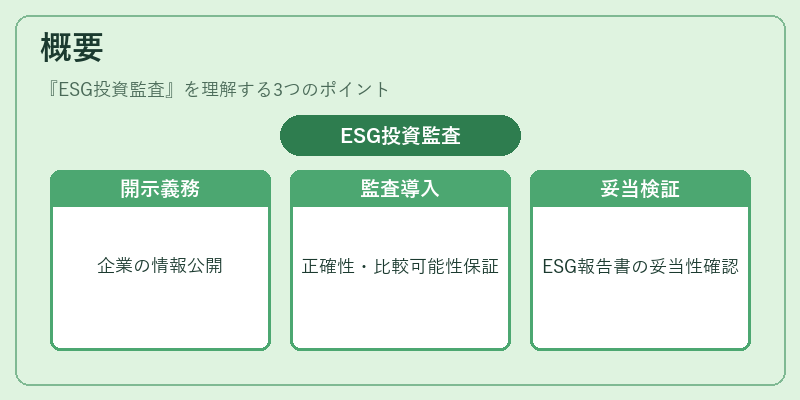 概要（ESG投資監査）の図解