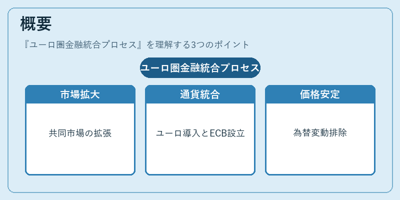 概要（ユーロ圏金融統合プロセス）の図解