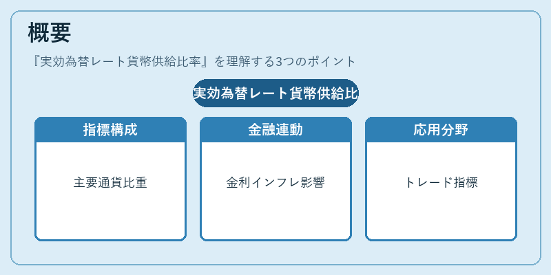 概要（実効為替レート貨幣供給比率）の図解