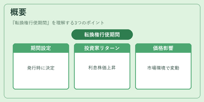 概要（転換権行使期間）の図解
