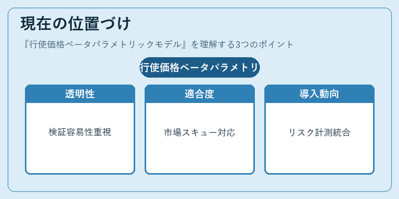 現在の位置づけ（行使価格ベータパラメトリックモデル）の図解