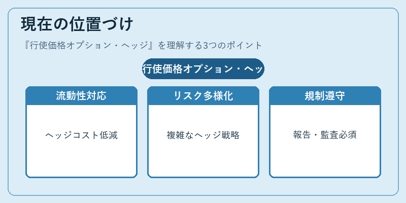現在の位置づけ（行使価格オプション・ヘッジ）の図解