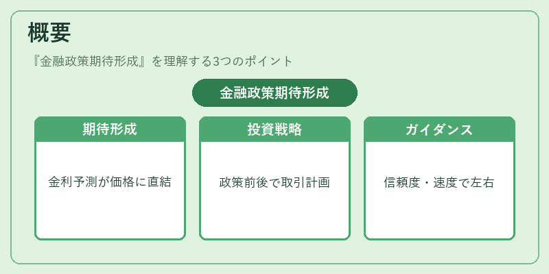 概要（金融政策期待形成）の図解