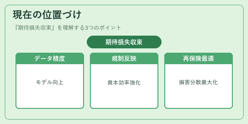 現在の位置づけ（期待損失収束）の図解