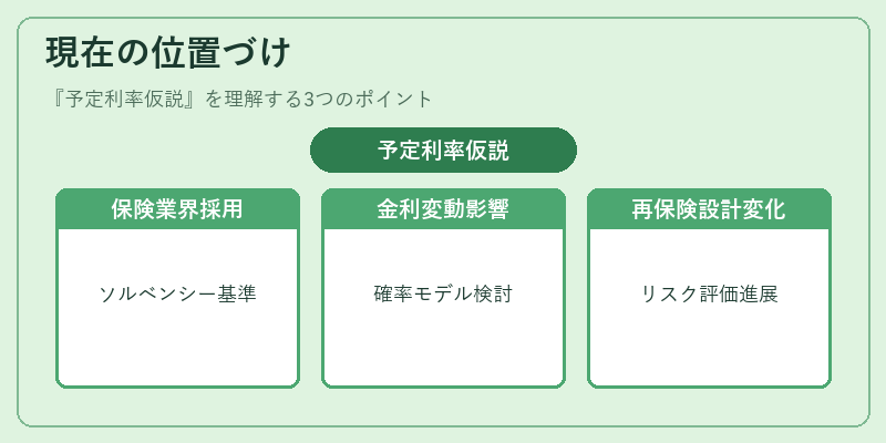 現在の位置づけ（予定利率仮説）の図解