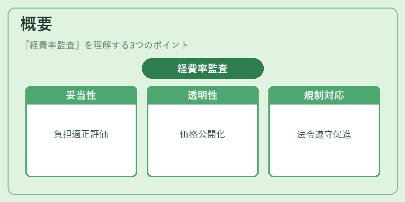 概要（経費率監査）の図解