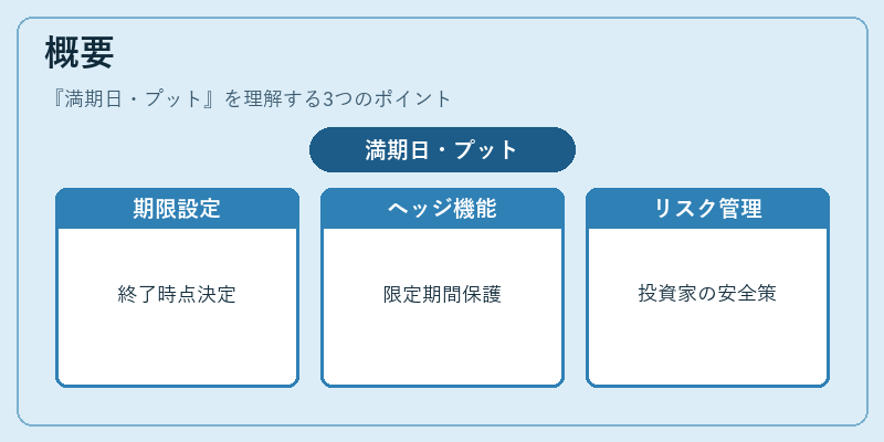 概要（満期日・プット）の図解