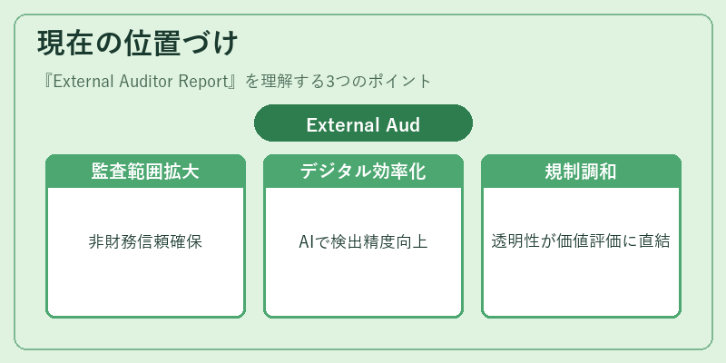 現在の位置づけ（External Auditor Report）の図解