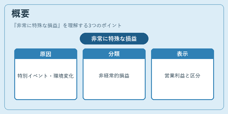 概要（非常に特殊な損益）の図解