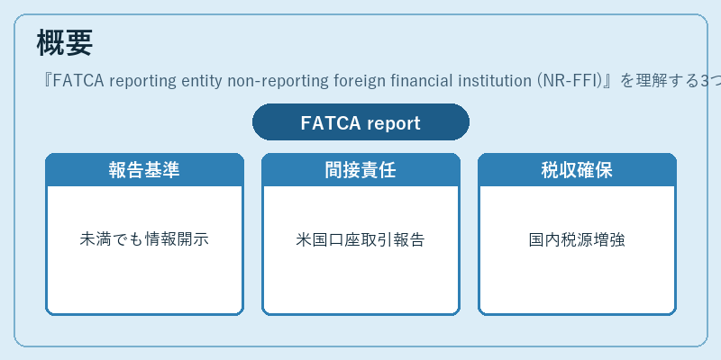 概要（FATCA reporting entity non-reporting foreign financial institution (NR-FFI)）の図解