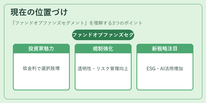 現在の位置づけ(ファンドオブファンズセグメント)の図解