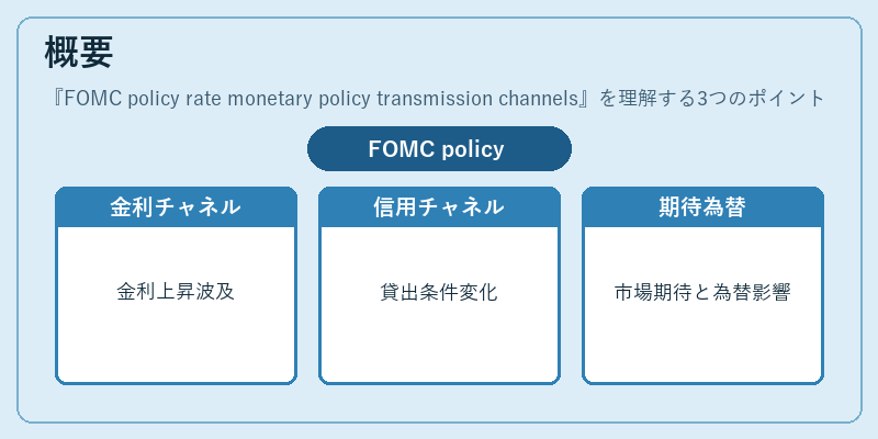 概要（FOMC policy rate monetary policy transmission channels）の図解