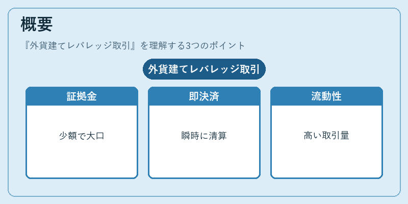 概要（外貨建てレバレッジ取引）の図解