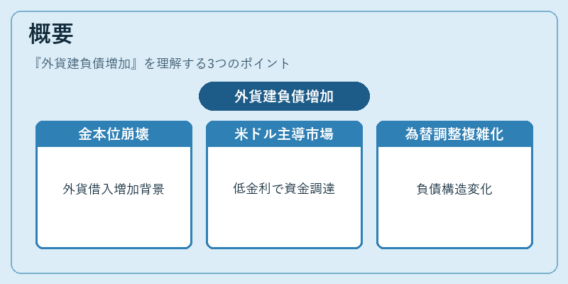 概要（外貨建負債増加）の図解